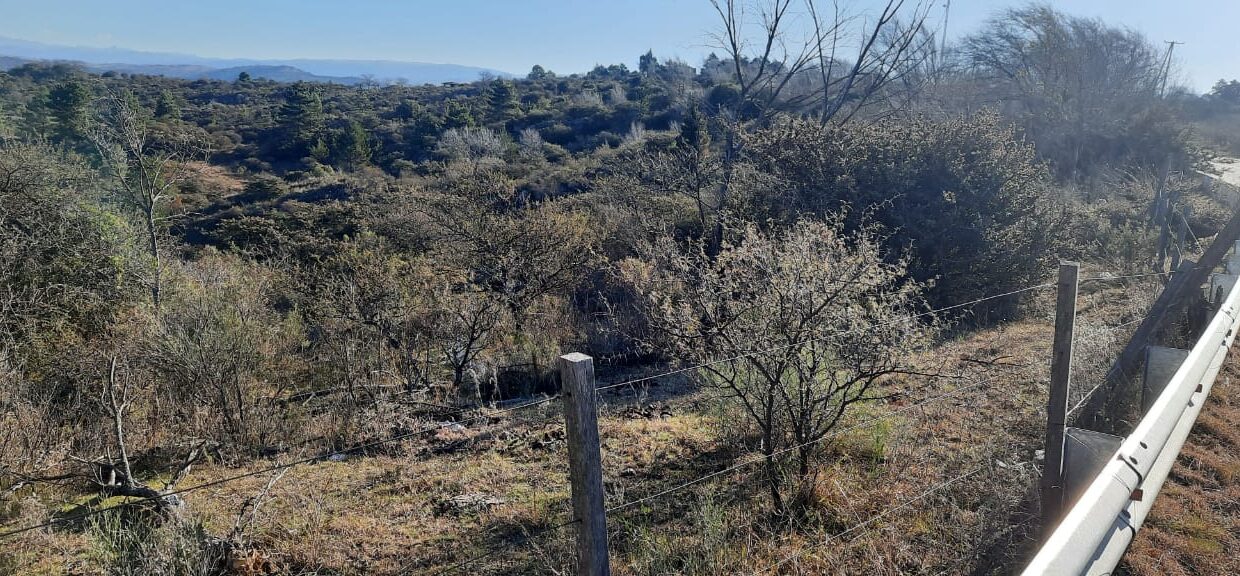 WhatsApp Image 2021-09-20 at 16.40.11 (1)