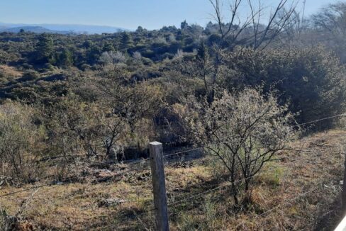 WhatsApp Image 2021-09-20 at 16.40.11 (1)