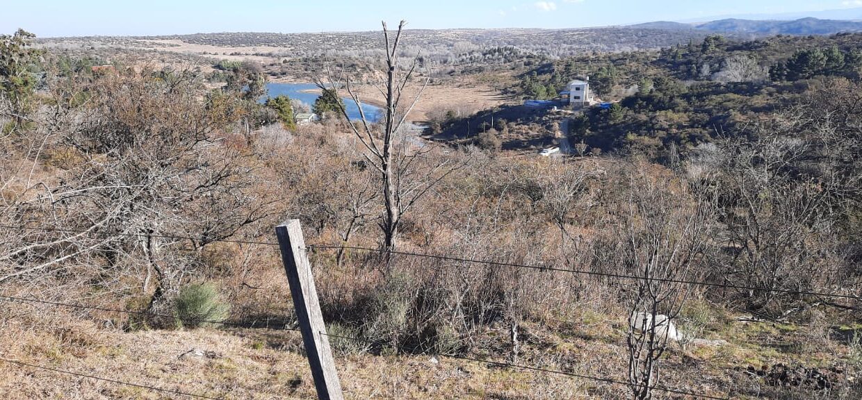 WhatsApp Image 2021-09-20 at 16.40.14