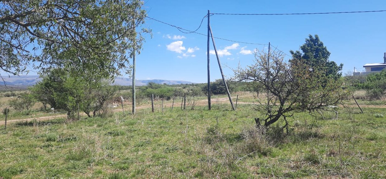 WhatsApp Image 2022-01-04 at 17.46.11 (1)