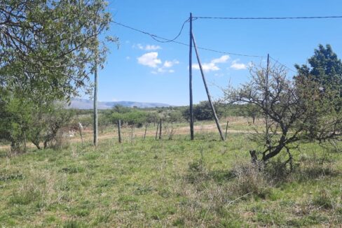 WhatsApp Image 2022-01-04 at 17.46.11 (1)