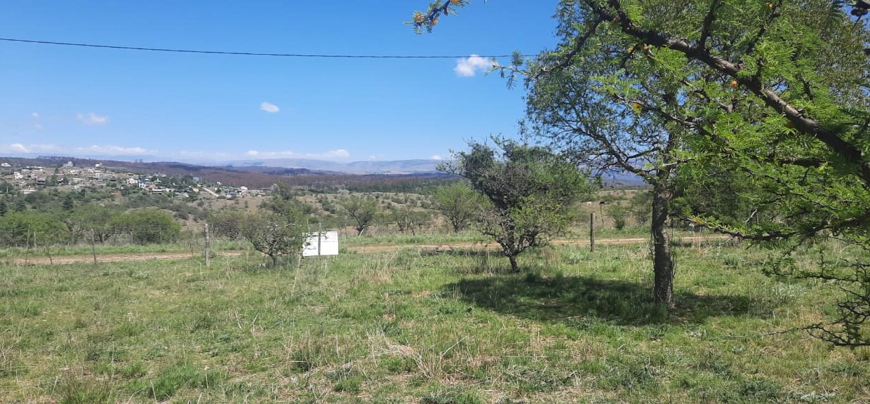 WhatsApp Image 2022-01-04 at 17.46.11 (3)