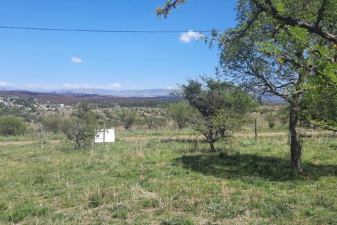 WhatsApp Image 2022-01-04 at 17.46.11 (3)