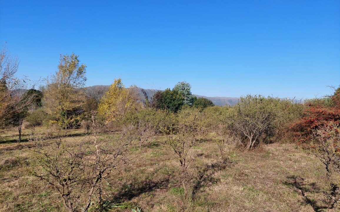 WhatsApp Image 2022-01-06 at 10.27.54 (4)