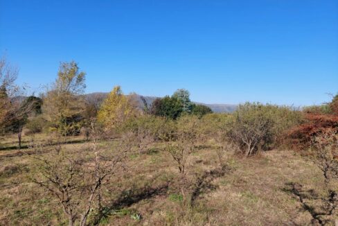 WhatsApp Image 2022-01-06 at 10.27.54 (4)