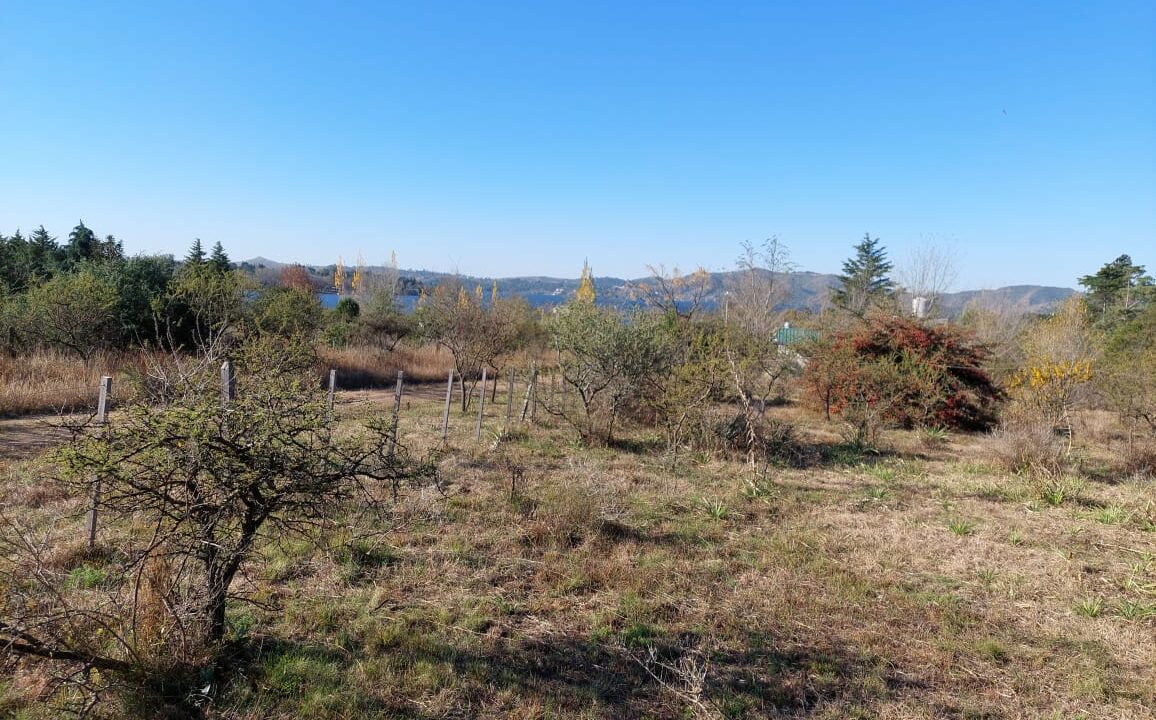 WhatsApp Image 2022-01-06 at 10.27.54 (7)