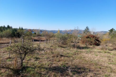 WhatsApp Image 2022-01-06 at 10.27.54 (7)