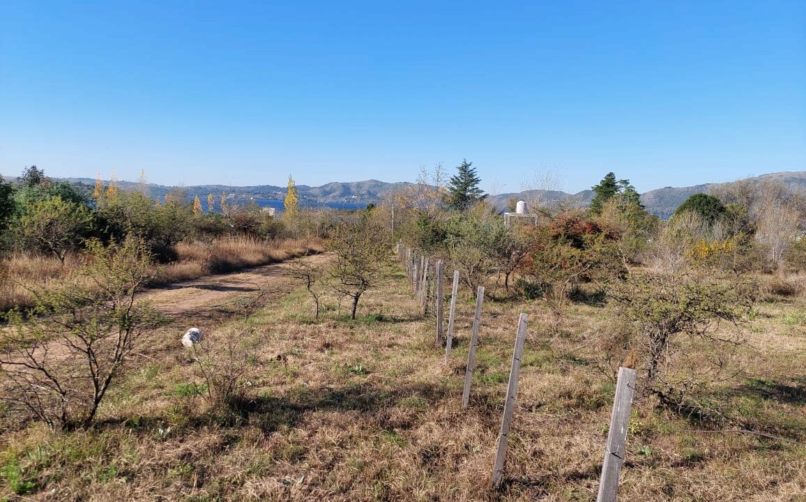 WhatsApp Image 2022-01-06 at 10.27.54 (9)