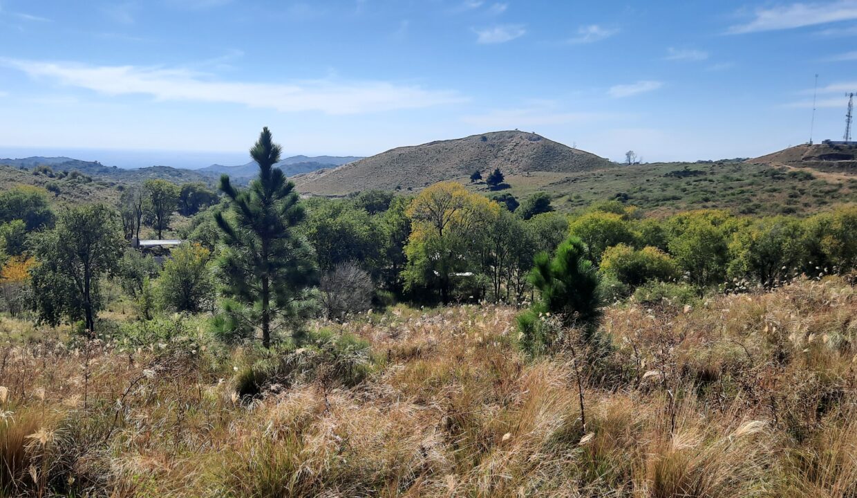 20220406_110736 - copia
