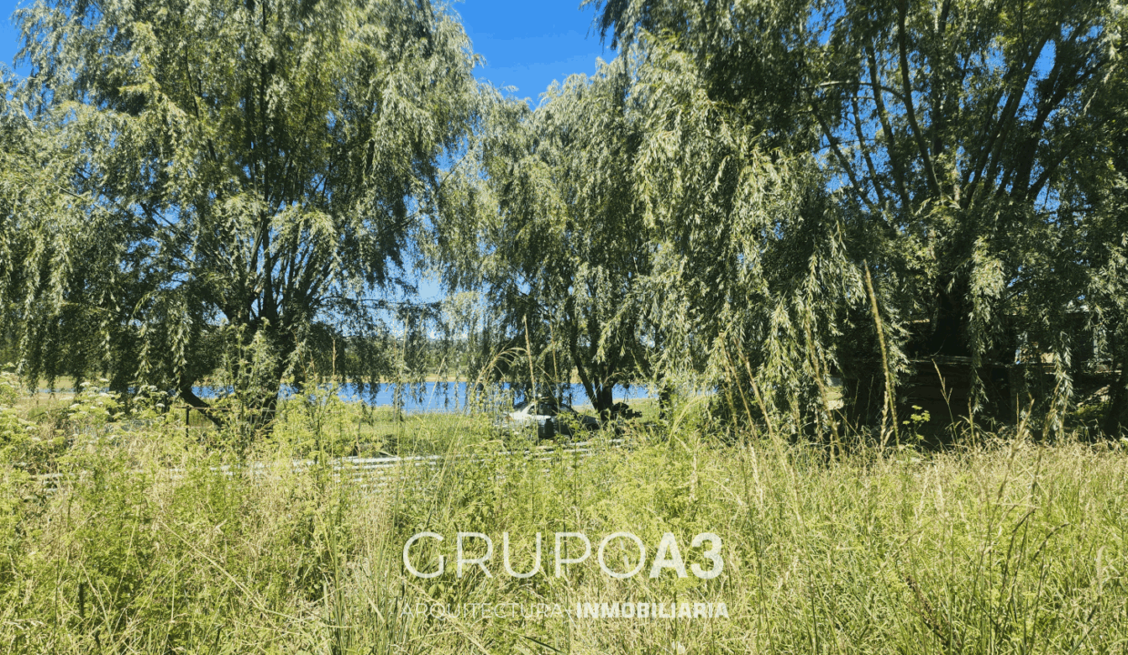 INMOBILIARIA GRUPO A3 POTRERO DE GARAY LOTES 621 03