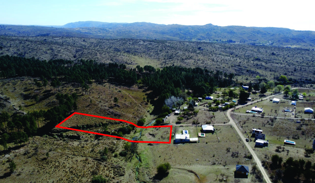 LOTE 650