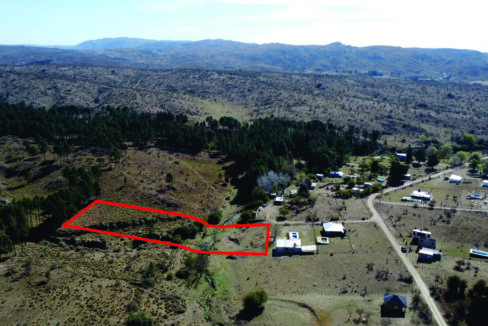 LOTE 650