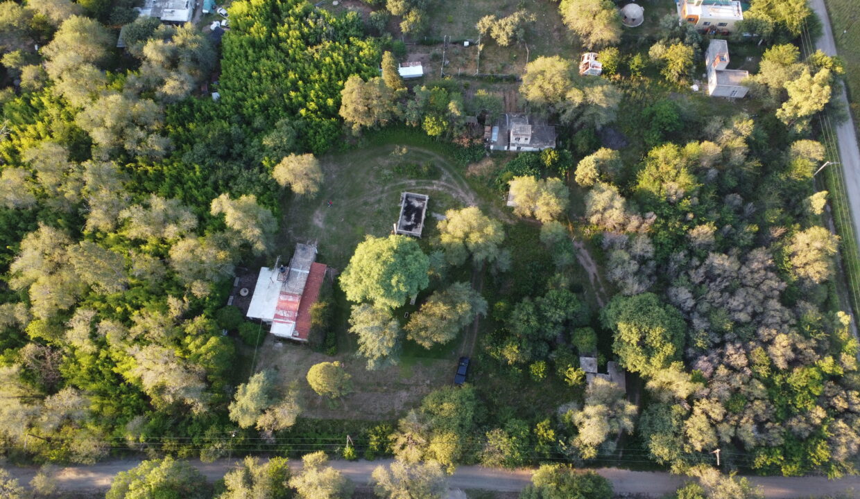 DCIM100MEDIADJI_0290.JPG
