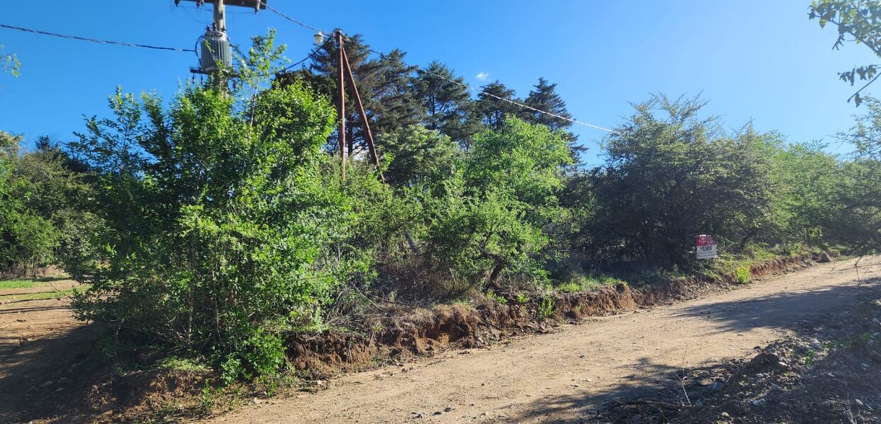 WhatsApp Image 2025-03-15 at 11.25.13