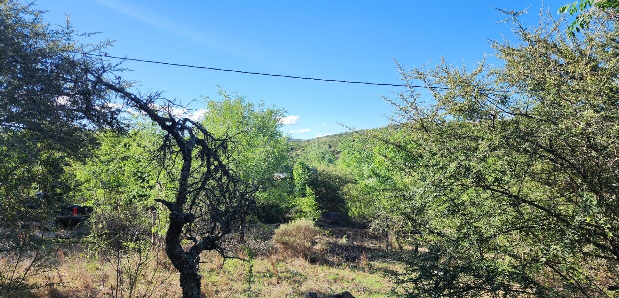 WhatsApp Image 2025-03-15 at 11.25.15 (1)