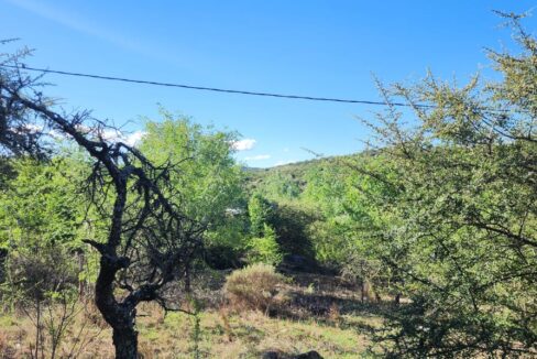 WhatsApp Image 2025-03-15 at 11.25.15 (1)