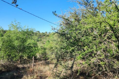 WhatsApp Image 2025-03-15 at 11.25.16