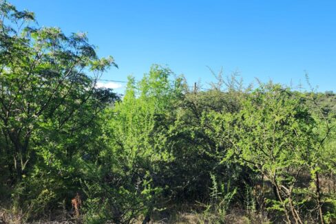 WhatsApp Image 2025-03-15 at 11.25.18 (2)