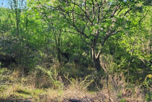 WhatsApp Image 2025-03-15 at 11.25.19 (1)