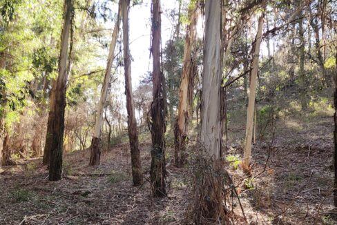 GRUPO A3 POTRERO DE GARAY VILLA CIUDAD DE AMERICA INMOBILIARIA ARQUITECTURA CASAS LOTES 801