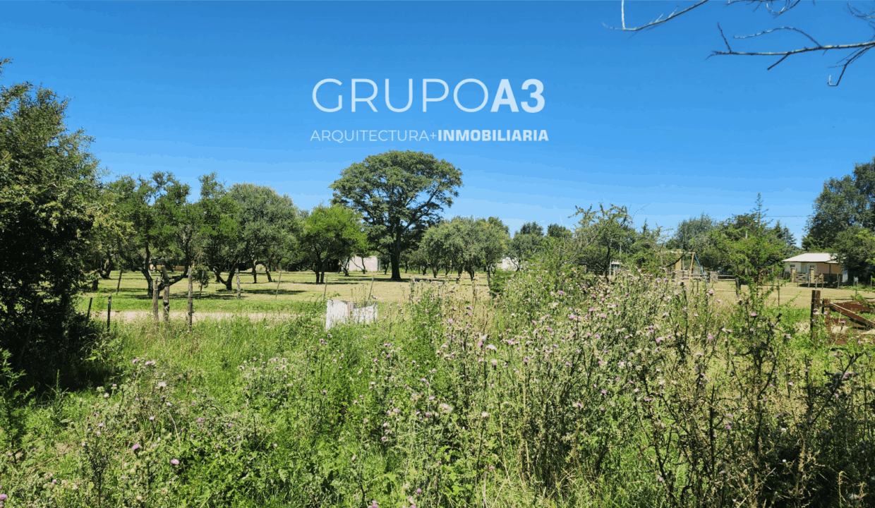 INMOBILIARIA GRUPO A3 LOTES POTRERO DE GARAY 750 3