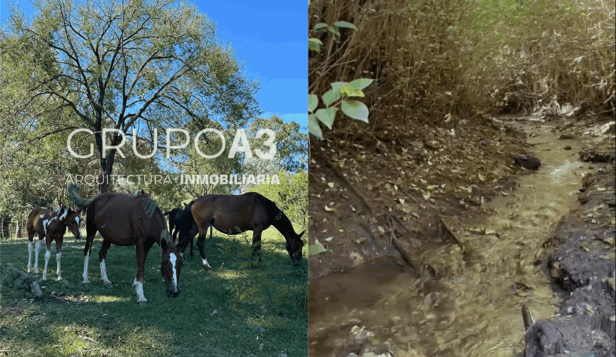 INMOBILIARIA GRUPO A3 POTRERO DE GARAY VILLA CIUDAD DE AMERICA CASAS LOTES 834 02