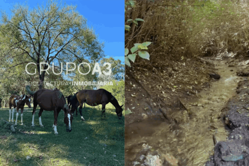 INMOBILIARIA GRUPO A3 POTRERO DE GARAY VILLA CIUDAD DE AMERICA CASAS LOTES 834 02