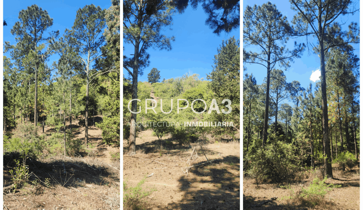 INMOBILIARIA GRUPO A3 POTRERO DE GARAY VILLA CIUDAD DE AMERICA CASAS LOTES 834 04