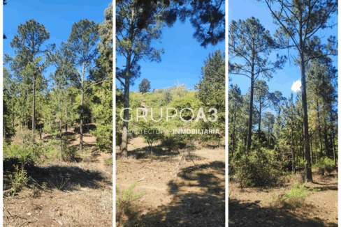 INMOBILIARIA GRUPO A3 POTRERO DE GARAY VILLA CIUDAD DE AMERICA CASAS LOTES 834 04