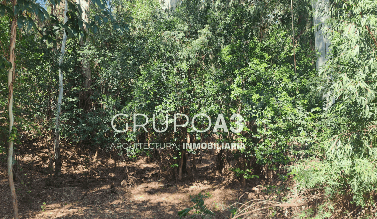 INMOBILIARIA GRUPO A3 POTRERO DE GARAY VILLA CIUDAD DE AMERICA CASAS LOTES 834 08