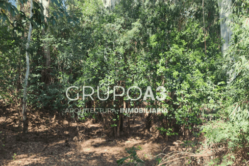 INMOBILIARIA GRUPO A3 POTRERO DE GARAY VILLA CIUDAD DE AMERICA CASAS LOTES 834 08