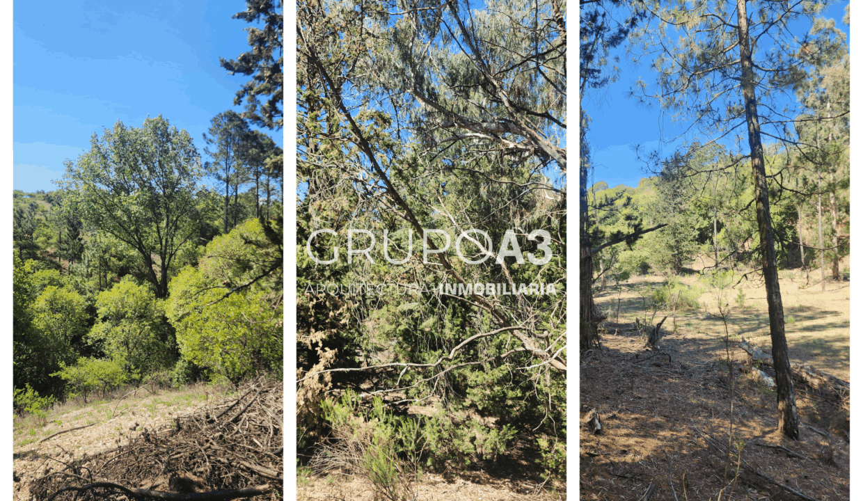 INMOBILIARIA GRUPO A3 POTRERO DE GARAY VILLA CIUDAD DE AMERICA CASAS LOTES 834 10