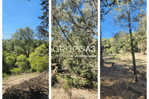 INMOBILIARIA GRUPO A3 POTRERO DE GARAY VILLA CIUDAD DE AMERICA CASAS LOTES 834 10