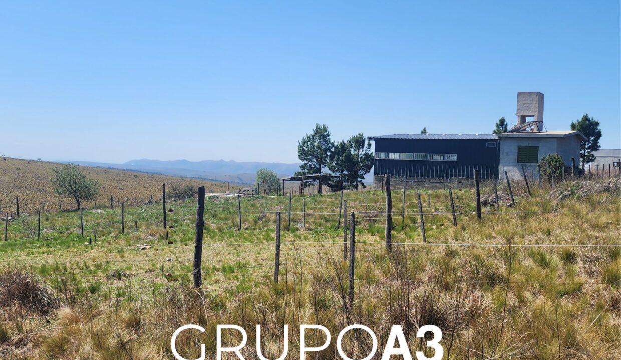 INMOBILIARIA GRUPO A3 VILLA CIUDAD DE AMERICA POTRERO DE GARAY LOTES CASAS 830 01