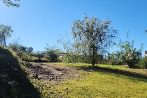 INMOBILIARIA GRUPO A3 POTRERO DE GARAY LOTE 869 03