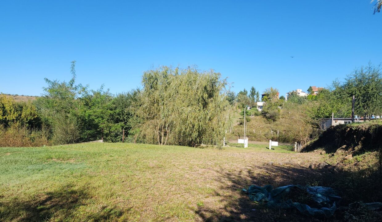INMOBILIARIA GRUPO A3 POTRERO DE GARAY LOTE 869 04