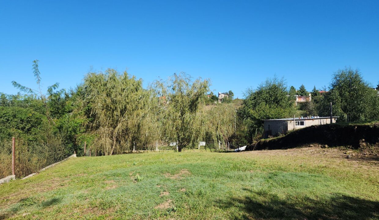 INMOBILIARIA GRUPO A3 POTRERO DE GARAY LOTE 869 05