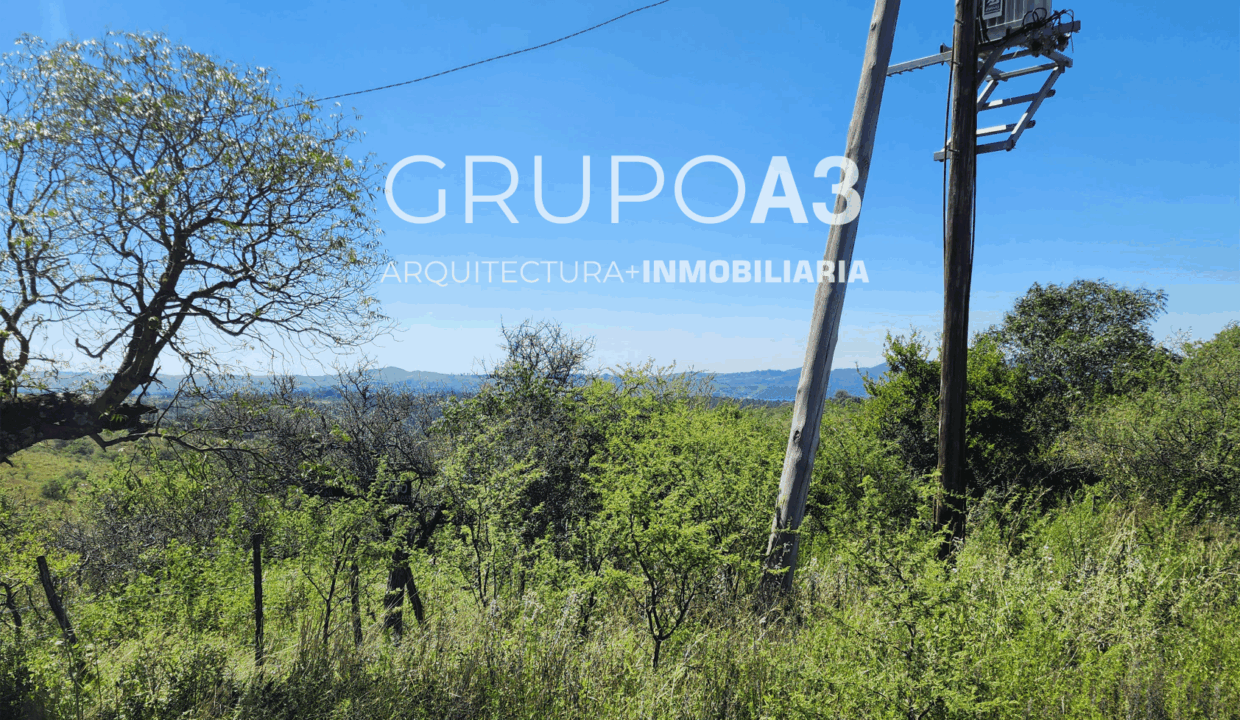 INMOBILIARIA GRUPO A3 CAMPO POTRERO DE GARAY 762 08