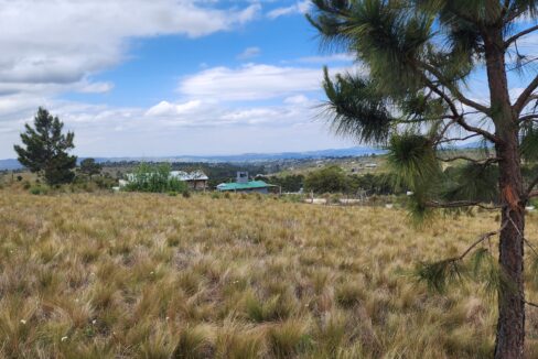 GRUPO A3 INMOBILIARIA POTRERO DE GARAY PAMPA ALTA LOTE 902 05